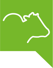 Icovet