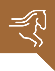 Icovet